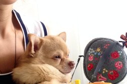 Станция приема больных животных Мордовская республиканская станция по борьбе с болезнями животных, с рейтингом 3.4 - находится по адресу Республика Мордовия, Саранск, Пролетарская улица, 139а 