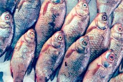 Дорогомиловский рынок, с рейтингом 4.1 - находится по адресу Москва, Можайский Вал улица, 10 