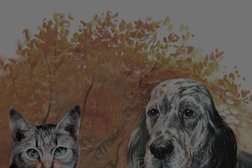 Ритуальное агентство для животных Белый Бим, с рейтингом 2.5 - находится по адресу Иркутск, Воронежская улица, 3а 