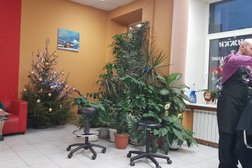 Студия Причёсок Юлии Шкредовой, с рейтингом 4.1 - находится по адресу Санкт-Петербург, Кирочная улица, 8 
