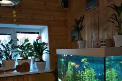 Кофейня Local house, с рейтингом 3.5 - находится по адресу Владивосток, Светланская, 9е 