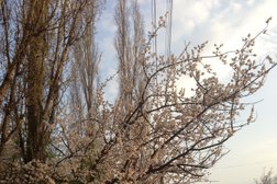 Магазин косметики и бытовой химии Ассорти идей, с рейтингом 4 - находится по адресу Воронеж, улица Машиностроителей, 51 