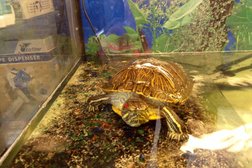 Типография Карат, с рейтингом 4 - находится по адресу Брянск, переулок Осоавиахима, 14 