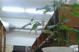 Археологический музей Оренбургский государственный педагогический университет, с рейтингом 4 - находится по адресу Оренбург, Советская, 19 