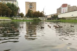 Банкомат СберБанк, с рейтингом 2.8 - находится по адресу Мурманск, проспект Кирова, 32 