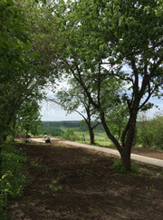 Благоустройство территории, маляр-штукатур Константин Иванович Гриняк