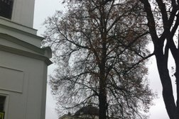 Женский монастырь Спасо-Бородинский, с рейтингом 4.1 - находится по адресу Московская область, посёлок Ворошилово, 1 