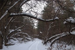 Офис продаж Моя Ильинка, с рейтингом 3.7 - находится по адресу Самарская область, пос. Власть Труда, Майская улица, 4 