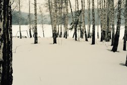 Круглогодичный центр отдыха Павловский Парк, с рейтингом 3.3 - находится по адресу Республика Башкортостан, с. Павловка, Горнолыжный комплекс Павловский парк, 1а 