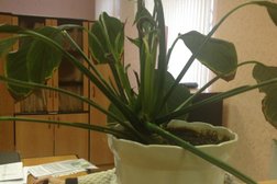 Землеустроитель, с рейтингом 4 - находится по адресу Ярославская область, Рыбинск, улица Крестовая, 77 
