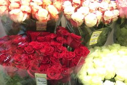 Магазин Цветмаркет, с рейтингом 3.3 - находится по адресу Москва, Шоссейная улица, 2 к1 