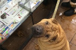 Зоомагазин Сомик, с рейтингом 4.5 - находится по адресу Москва, Судостроительная улица, 31 к1 