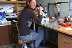 Институт биологии Карельский научный центр Российской академии наук, с рейтингом 2 - находится по адресу Республика Карелия, Петрозаводск, Пушкинская улица, 11 