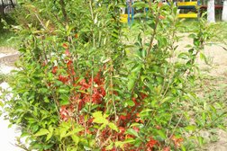 Детский сад №352, с рейтингом 3.4 - находится по адресу Нижний Новгород, Электровозная улица, 8а 