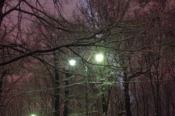 Муниципальный приют для собак Дубовая роща, с рейтингом 3.2 - находится по адресу Москва, проезд Дубовой Рощи, вл23-25 