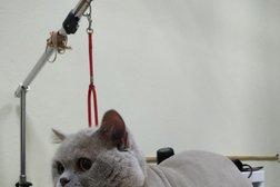 Груминг-салон BEAUTY DOG, с рейтингом 4.4 - находится по адресу Москва, улица Барышиха, 18 