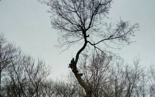 фотография работы фрилансера Николая Сергеевича Воронова