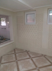 Маляр, маляр-штукатур Станислав Петросян