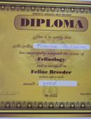 Томина Татьяна владимировна