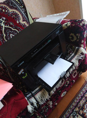 Мастер по настройке и ремонту компьютеров, мастер по ремонту бытовой техники Павел Евгеньевич Тарасович