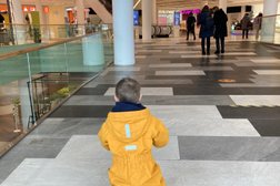 Место встречи Будапешт