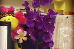 Турагентство Sunmar, с рейтингом 4 - находится по адресу Москва, Нижняя Красносельская улица, 40/12 