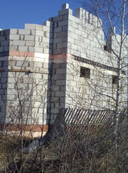 Плотник, маляр-штукатур Дмитрий Владимирович Турицин