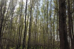 Парк Швейцария, с рейтингом 3.5 - находится по адресу Нижний Новгород, проспект Гагарина, 35 