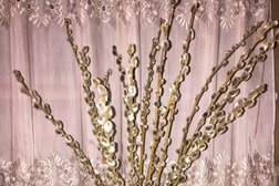 Самал, с рейтингом 5 - находится по адресу Алматы, Самал 1-й микрорайон, 23 