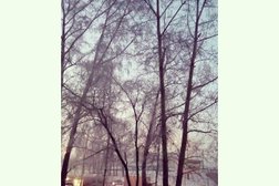 Информационный центр Анвик, с рейтингом 2.7 - находится по адресу Кемеровская область — Кузбасс, Новокузнецк, улица Невского, 1 