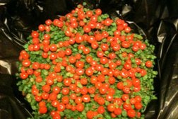 Цветочный салон Машенька, с рейтингом 4.5 - находится по адресу Смоленск, улица Румянцева, 11 