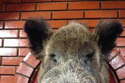 Ресторан Гнездо Беркута, с рейтингом 4.6 - находится по адресу Ханты-Мансийский автономный округ, Сургут, Пролетарский проспект, 4/1 