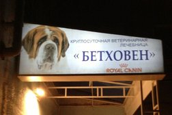 Ветеринарная лечебница, с рейтингом 3 - находится по адресу Ульяновск, проспект Генерала Тюленева, 4Б 