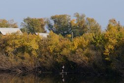 СТО на улице Свободы, с рейтингом 3 - находится по адресу Курган, улица Свободы, 2а/2 