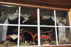 Кафе Горный, с рейтингом 3.8 - находится по адресу Алматы, Алма-Арасан Ущелье, 1/7 