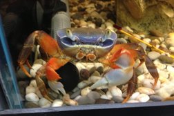 Зоомагазин Ветна, с рейтингом 4 - находится по адресу Республика Башкортостан, Уфа, Чернышевского, 104 