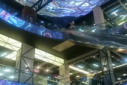 Торгово-развлекательный центр Нора, с рейтингом 3.6 - находится по адресу Москва, Андропова проспект, 22 