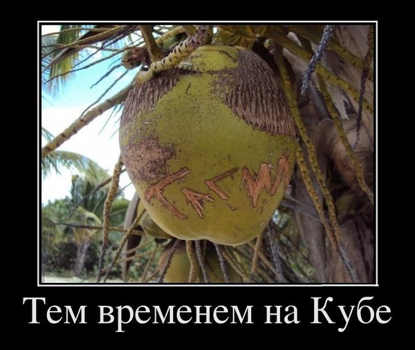 CmZ-p9awSLfrgoYNE2iq1XRaZtJShjKGRaLr22za