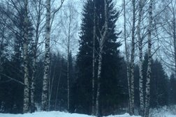 Сертоловское отделение Петербургская сбытовая компания, с рейтингом 1.2 - находится по адресу Ленинградская область, Сертолово, Школьная улица, 2 