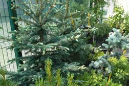 Садовый центр Сад с иголочки, с рейтингом 4.6 - находится по адресу Удмуртская Республика, Ижевск, улица Азина, 96Б к2 