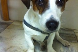 Ветеринарная клиника Ветдоктор, с рейтингом 3.2 - находится по адресу Екатеринбург, Профсоюзная улица, 55 