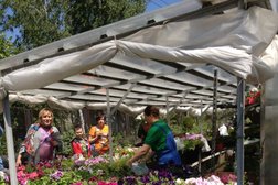 Садовый центр Белая Орхидея, с рейтингом 3.5 - находится по адресу Омск, Берёзовая улица, 1 к2 