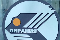 Оптовый отдел К. Т. М. Пирания, с рейтингом 3.5 - находится по адресу Челябинск, Троицкий тракт, 9г 