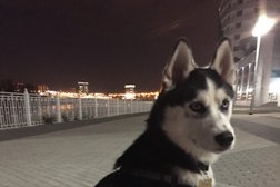 Торгово-офисный центр Адмирал, с рейтингом 3.3 - находится по адресу Краснодар, Кубанская набережная, 39 