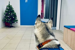 Автоматизированный пункт выдачи Ozon box, с рейтингом 4 - находится по адресу Московская область, Долгопрудный, Первомайская улица, 17 