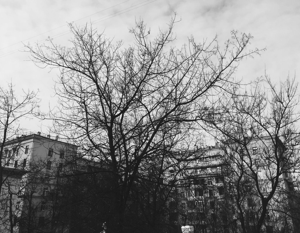 фотография Спортивно-туристский клуб Связист МТУСИ
