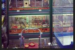 Ветеринарный процедурный кабинет Четыре Лапы, с рейтингом 4 - находится по адресу Московская область, Одинцово, Можайское шоссе, 147а 