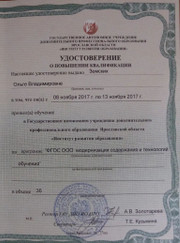 Психолог, педагог для подготовки к школе Ольга Владимировна Царёва