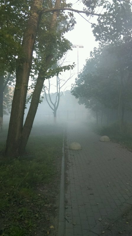 фотография Школы футбольного мастерства Невский фронт