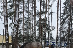 Пансионат отдыха Ярославль, с рейтингом 1.7 - находится по адресу Ярославская область, пос. пансионата "Ярославль", Красная улица, 60 